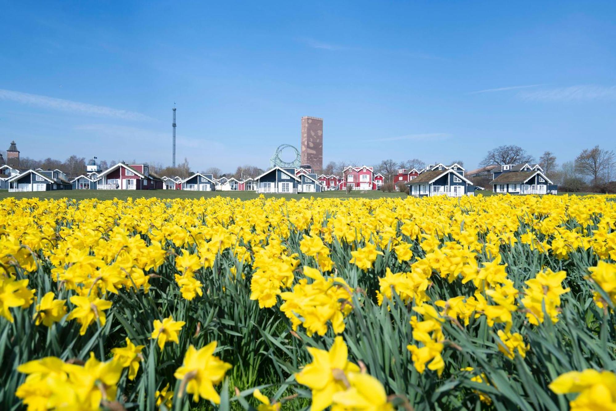 Strandpark Sierksdorf H087 外观 照片